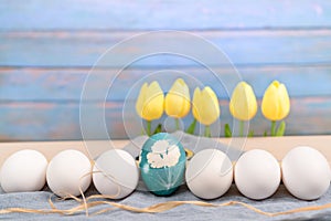 Happy easter, organic blue easter egg in middle of white color eggs wait for painting, easter holiday decorations