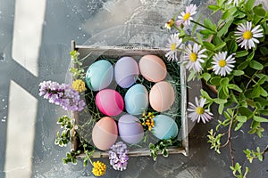 Happy easter Storyboard Eggs Sunrise Basket. White Egg hunt competition Bunny vibrant hues. Easter fundraising background