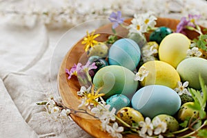 Happy Easter! Stylish easter eggs and blooming spring flowers in wooden bowl on rustic table. Natural painted eggs and blossoms