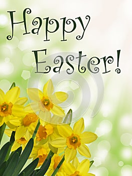 Happy easter text with yellow daffodils and green sunny abstract bokeh background