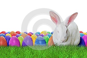 Happy Easter on white background