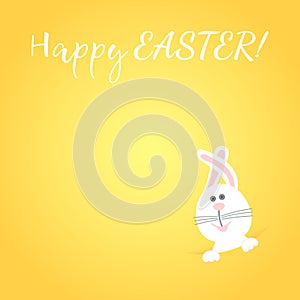 Happy Easter and white rabbit vector