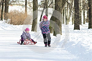 Happy elder girl pulling her young sister on the sleds in snowy winter park