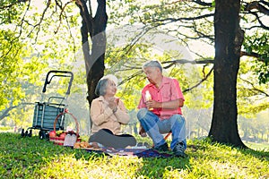 Happy elderly Asian couple sitting picnicking in an outdoor park.