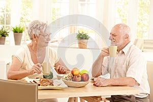 Happy elderly couple having breakfast