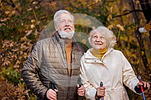 Happy elderly couple in love engaged in Nordic walking going in autumn nature.