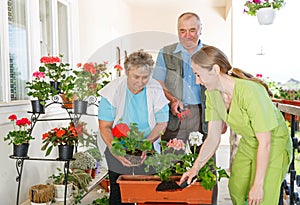Happy elderly couple planting flower