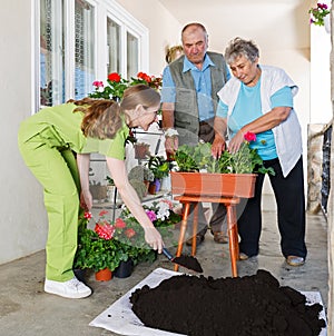 Happy elderly couple planting flower