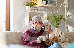Happy elderly couple relaxing together on the sofa at home