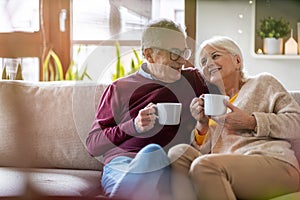 Happy elderly couple relaxing together on the sofa at home photo