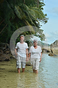 Happy elderly couple walking