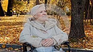 Happy elderly granny sit in wheelchair looks up in autumn park adult retired woman resting outdoors person with