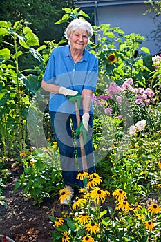Happy Elderly Woman Cultivating her Flower Garden photo