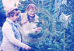 Happy elderly women selecting spruce