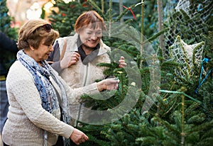 Happy elderly women selecting spruce