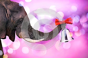 Happy elephant ringing a bell