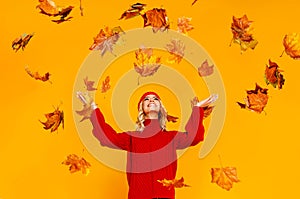 Happy emotional cheerful girl laughing  with autumn leaves and knitted autumn red cap  on colored yellow background