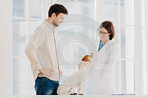 Happy experienced female vet examines jack russel terrier dog, gives advice how to care about animal. Male pet owner cures dog in