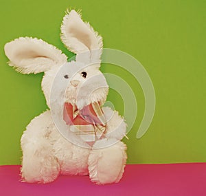 Happy Faced White Rabbit doll