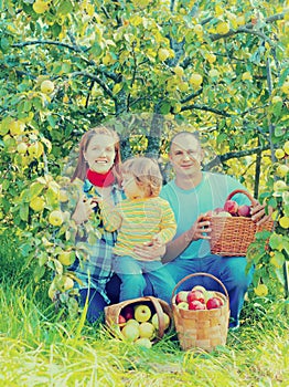 Happy family with apple harvest