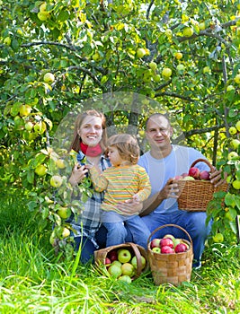 Happy family with apple harvest