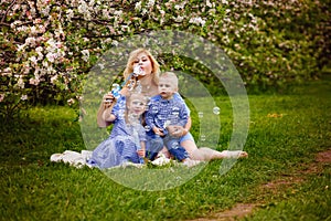 A happy family of blonds. Chubby mom and two kids boy and girl in a blooming spring apple orchard on a spring picnic. They start