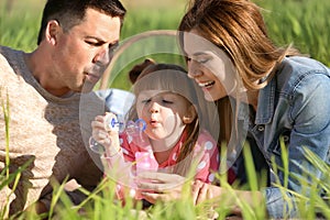 Happy family blowing soap bubbles in park