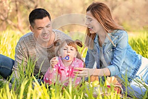 Happy family blowing soap bubbles in park