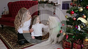 Happy family celebrates Christmas with dog at home
