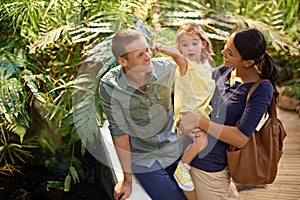 Happy family, child and pointing at zoo with tourist for sightseeing, travel or tour on trip. Father, mother and little