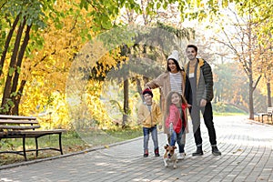 Happy family with children and dog in park