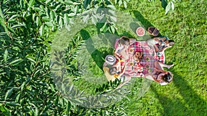 Happy family with children having picnic in park, parents with kids sitting on garden grass and eating healthy meals outdoors