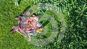 Happy family with children having picnic in park, parents with kids sitting on garden grass and eating healthy meals outdoors