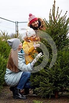 Happy family choosing christmas tree at market