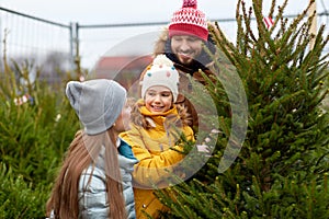 Happy family choosing christmas tree at market