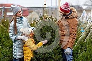 Happy family choosing christmas tree at market