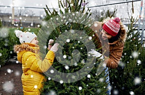 Happy family choosing christmas tree at market