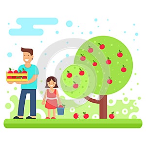 A happy family collects apple crops. photo