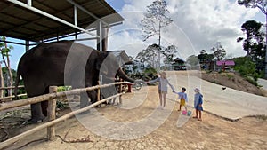 Happy family communicating with elephant in zoo