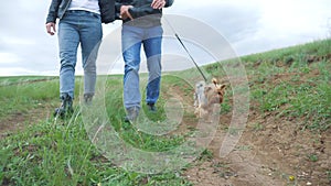 Happy family. Dog walks on a leash first-person view of the hand. Couple hold hands walking a dog teamwork. Concept pet