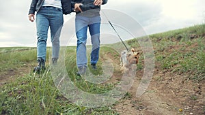 Happy family. dog walks on a leash first-person view of the hand. couple hold hands walking a dog teamwork. concept pet