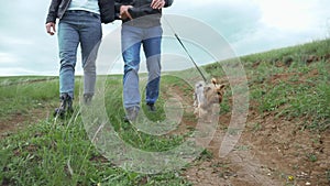 Happy family. dog walks on a leash first-person view of the hand. couple hold hands walking a dog teamwork. concept pet