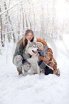 The happy family with dogs huskies poses in beautiful for the snow wood. Trees in snow