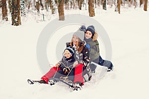 Happy family driving sled on the snow. Mother and her sons having fun in winter park. Winter and christmas holidays