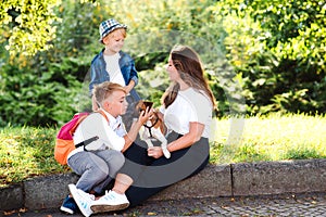 Happy family enjoying in park on sunny a day. Little puppy jack russel terrier walking with owners