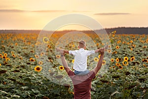 Happy family: father with his son on the shoulders standing in sunflower field at sunset. Back view