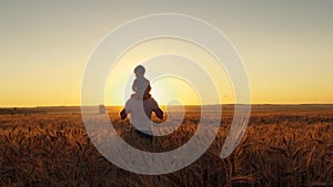 Happy family father mom and two sons walking in a wheat field and watching the sunset