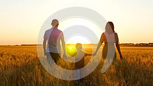 Happy family: father, mother and little son are on the wheat field, holding hands. Silhouette of a man, woman and child