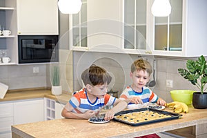 Happy family funny kids are preparing the dough, bake cookies in the kitchen. Put berry and blueberry in all biscuits