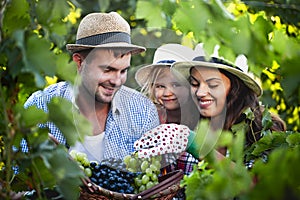 Happy family on grape farm in summer time